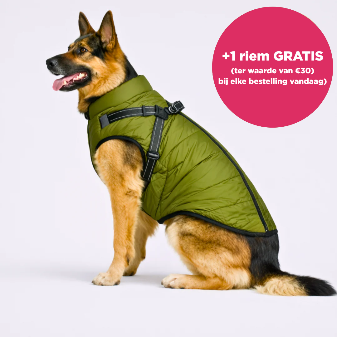 Otto™ | 3-in-1 Winterjas voor Honden met Riem