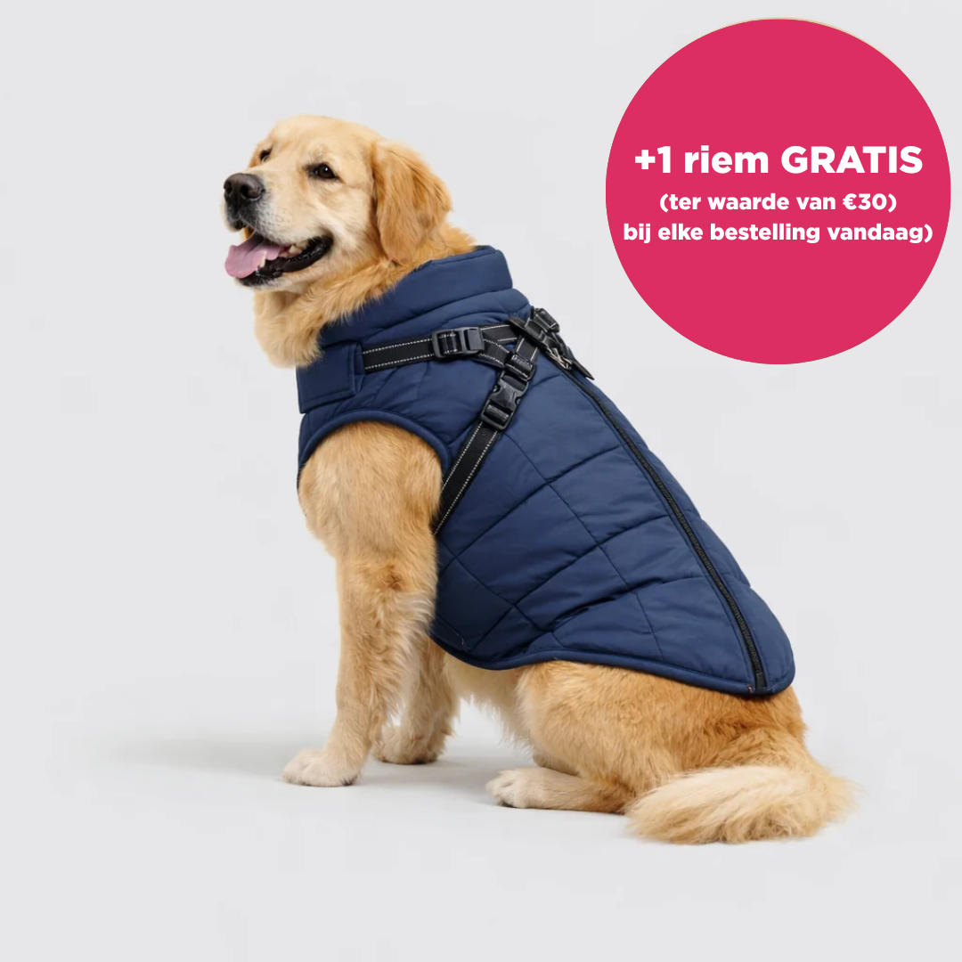 Otto™ | 3-in-1 Winterjas voor Honden met Riem