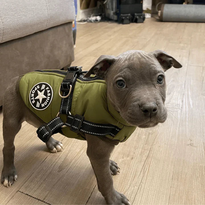 Otis™ | Warme Hondenjas voor Koude Dagen