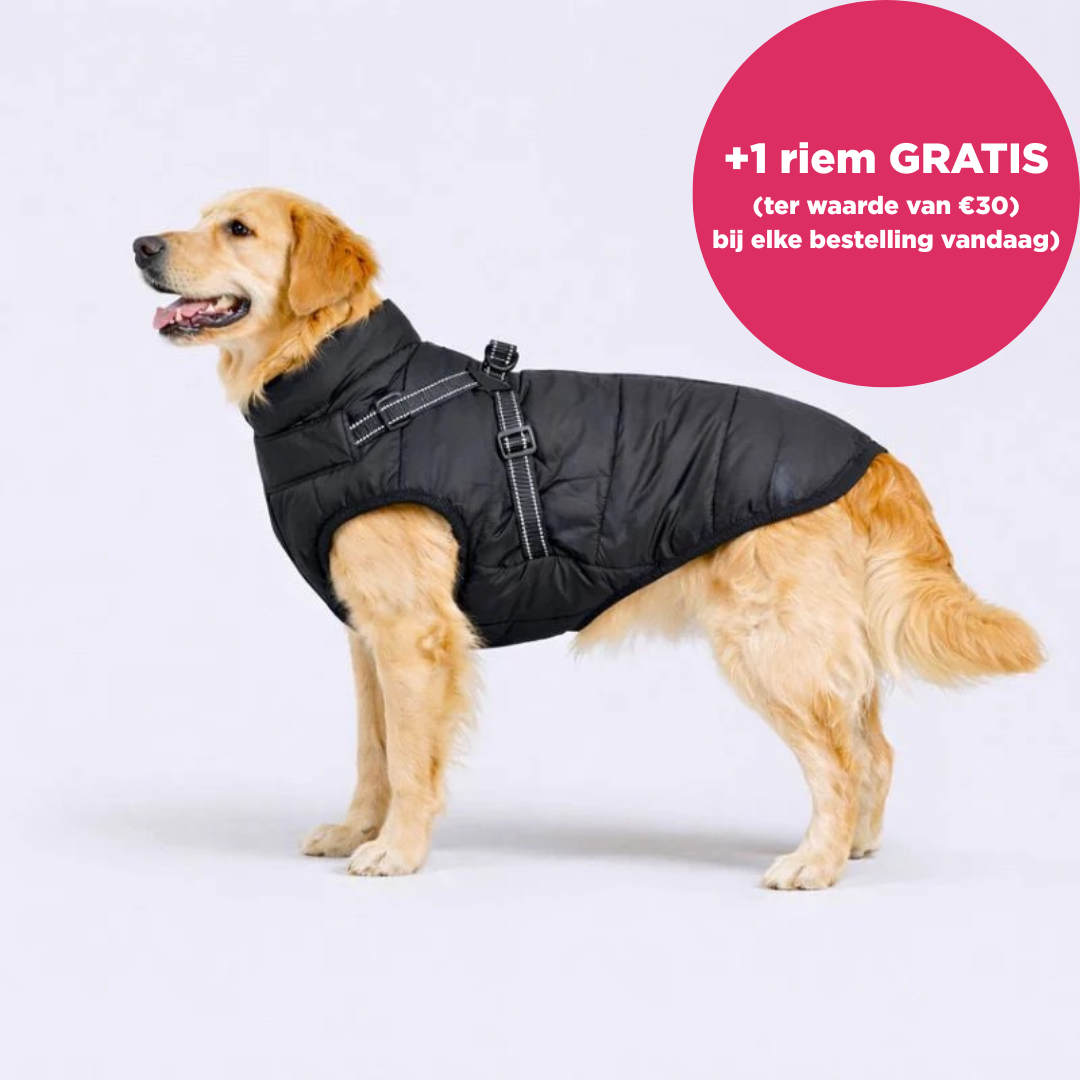Otto™ | 3-in-1 Winterjas voor Honden met Riem