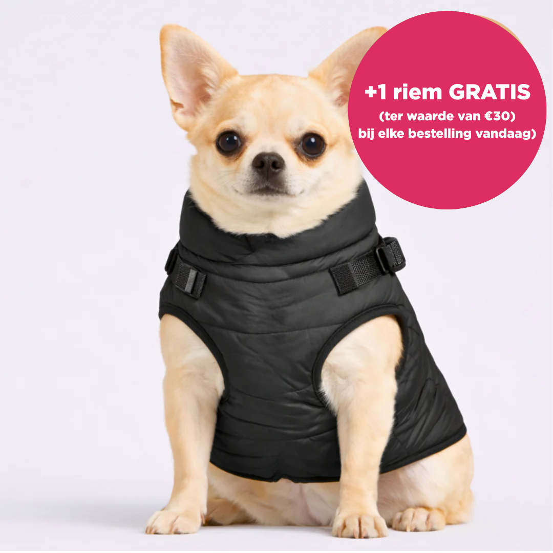 Otto™ | 3-in-1 Winterjas voor Honden met Riem