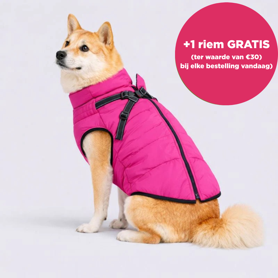 Otto™ | 3-in-1 Winterjas voor Honden met Riem