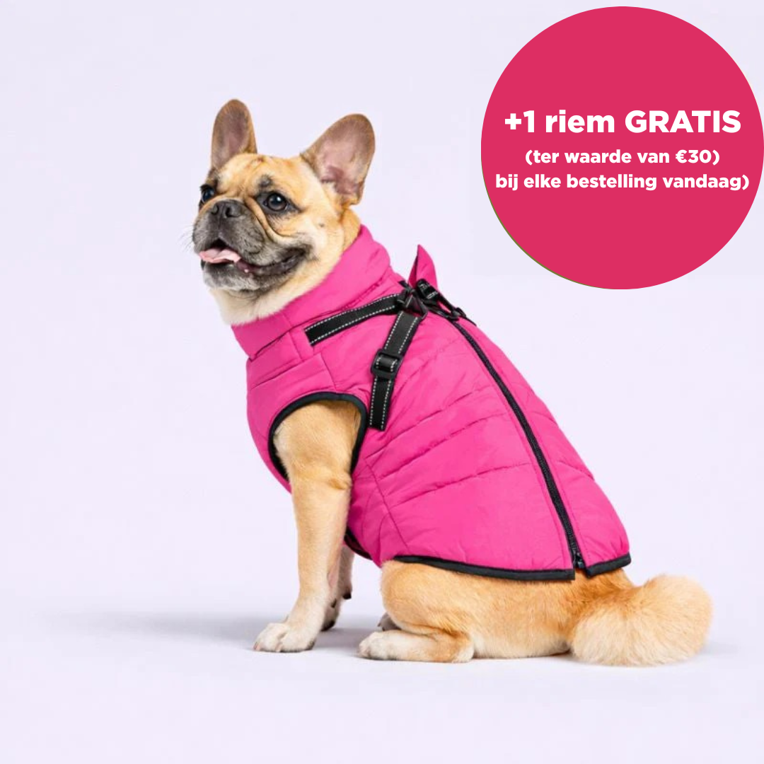 Otto™ | 3-in-1 Winterjas voor Honden met Riem