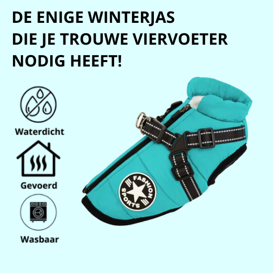 Otis™ | Warme Hondenjas voor Koude Dagen
