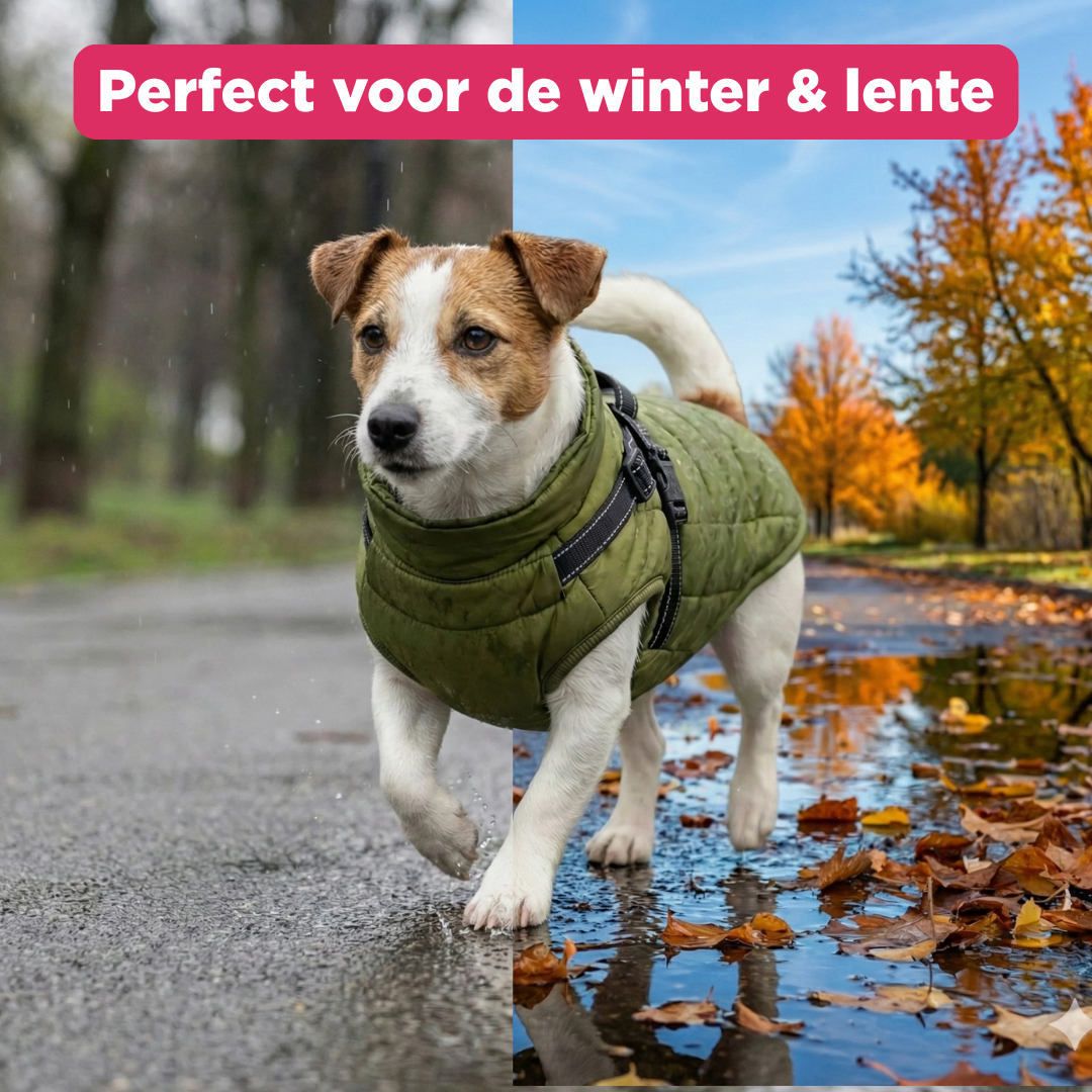 Otto™ | 3-in-1 Winterjas voor Honden met Riem