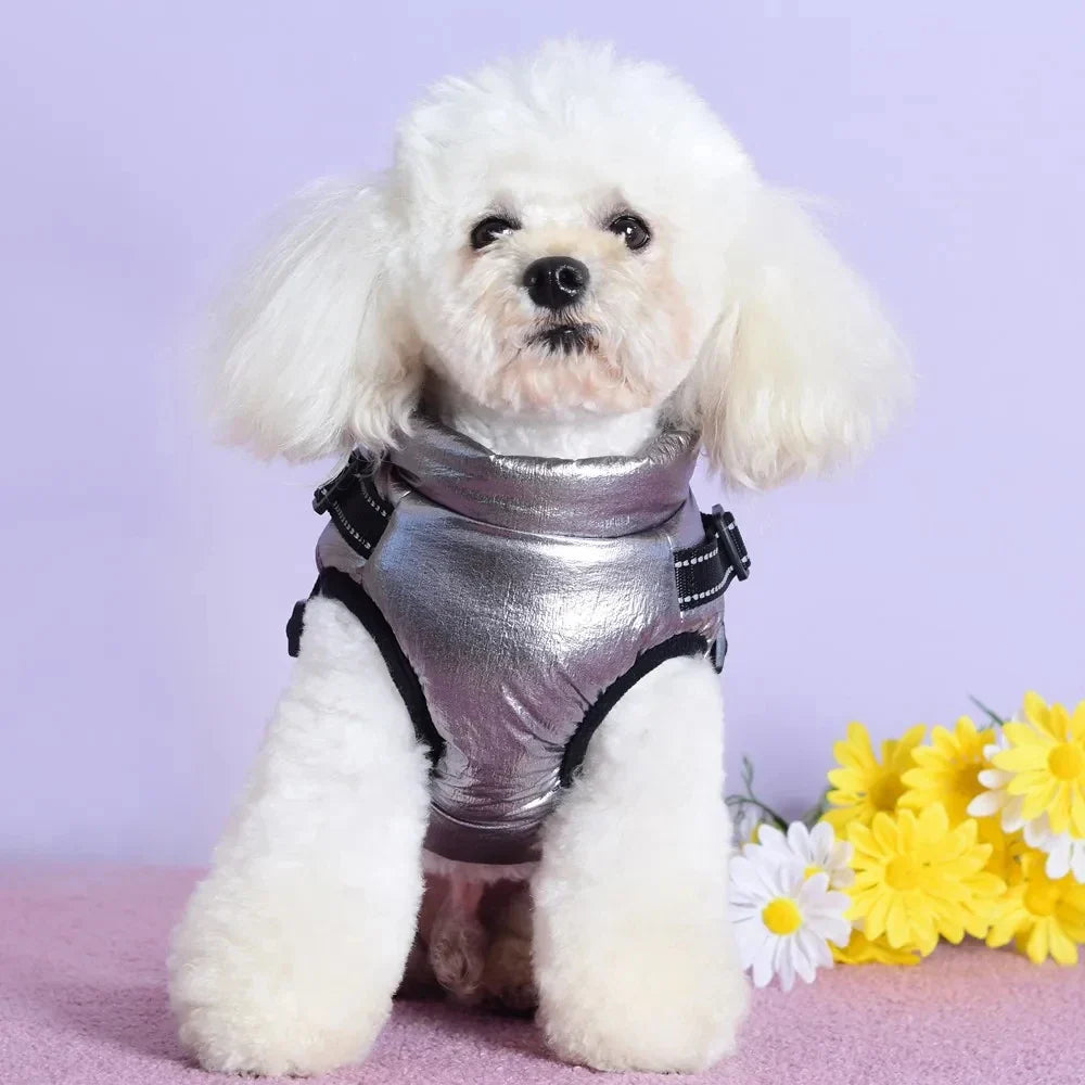 Otis™ | Warme Hondenjas voor Koude Dagen