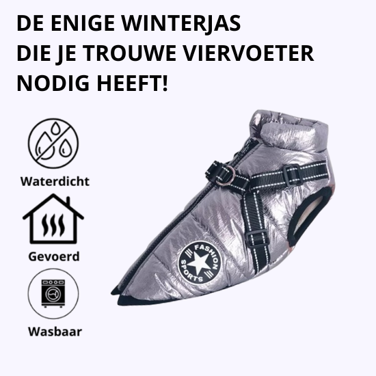 Otis™ | Warme Hondenjas voor Koude Dagen