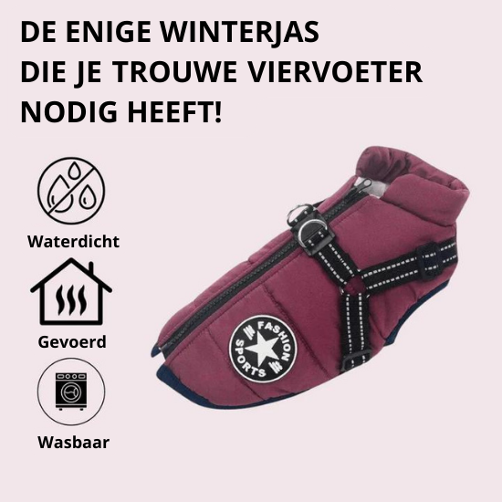 Otis™ | Warme Hondenjas voor Koude Dagen