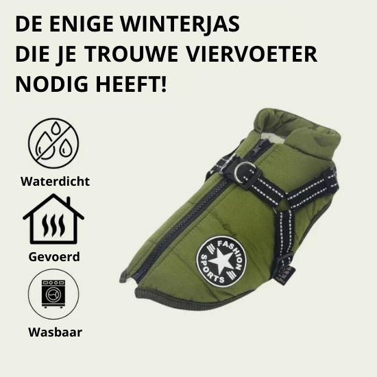 Otis™ | Warme Hondenjas voor Koude Dagen