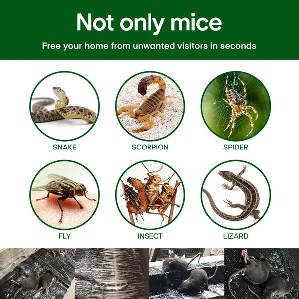 Bram™ | Kleefval voor Muizen en Ratten