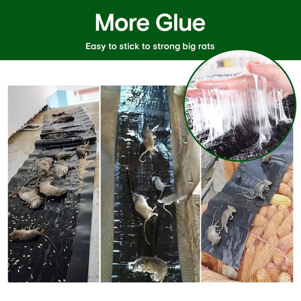 Bram™ | Kleefval voor Muizen en Ratten