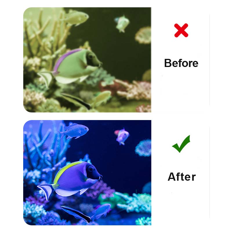 AquaPure™ – 4-in-1 Aquariumfilter