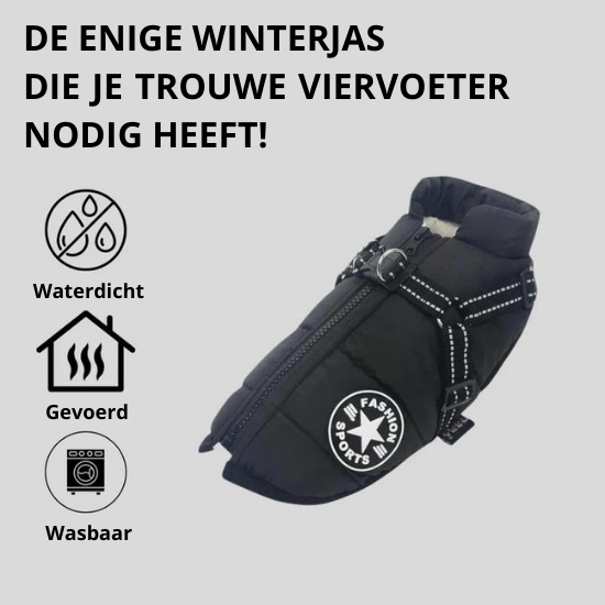 Otis™ | Warme Hondenjas voor Koude Dagen